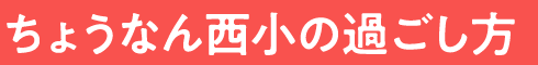 タイムスケジュール